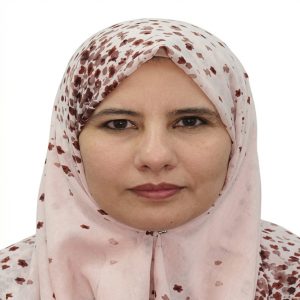 هياكل الدعم